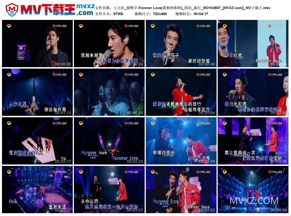 王力宏_徐熙宇-Forever Love(我想和你唱)_国语_流行_MD103897